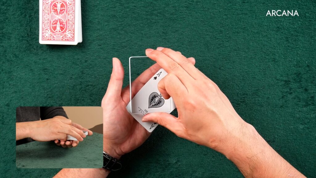 2. Bottom Palm 1-0028